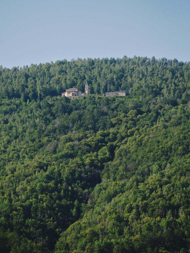 Madonna della Betulla