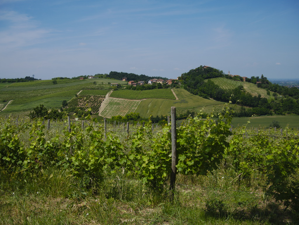 Volpeglino