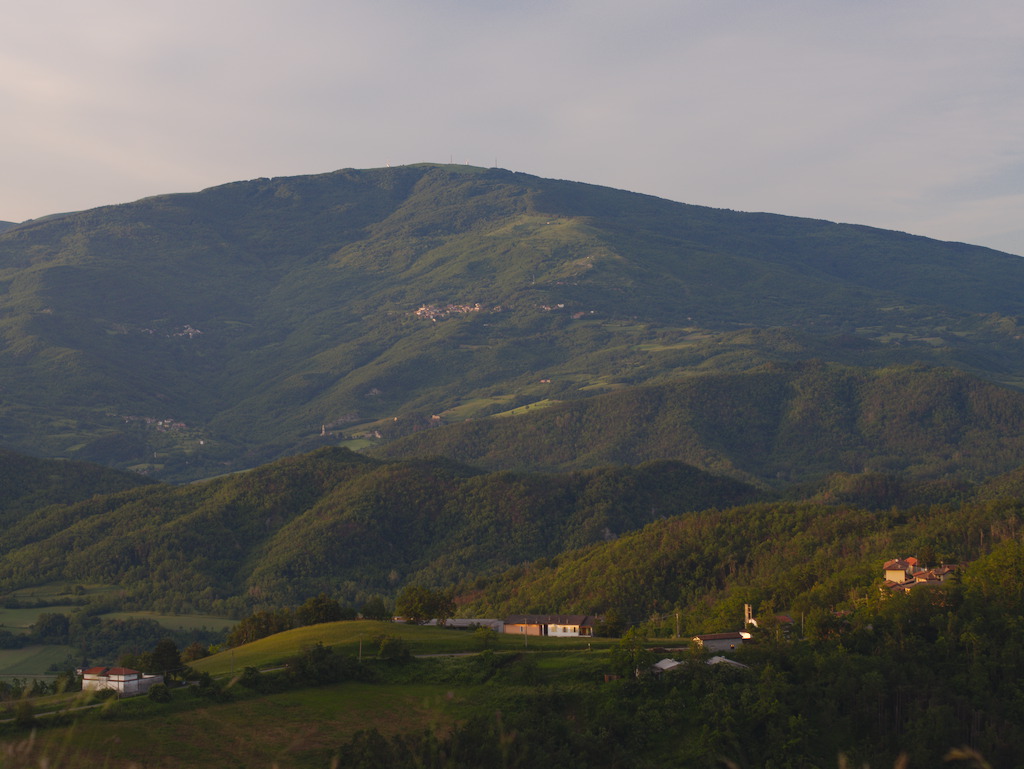 Musigliano