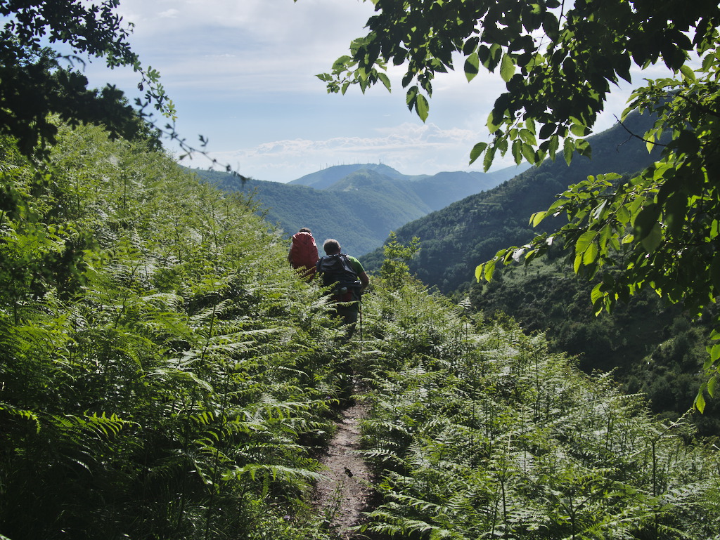 Monte Fasce