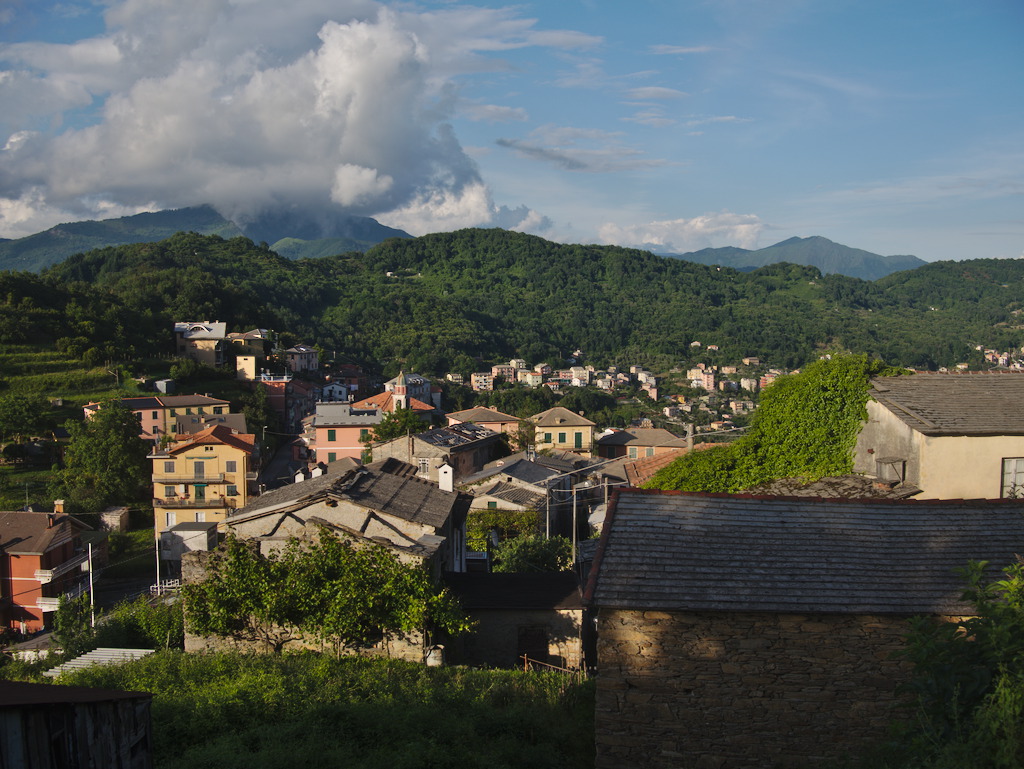 Calcinara