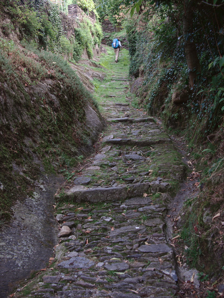 Mulattiera per il castello di Orezia