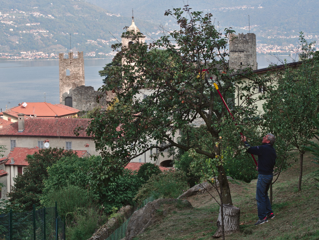 Corenno Plinio